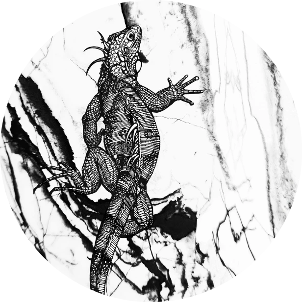 tapeta#1-koło.png