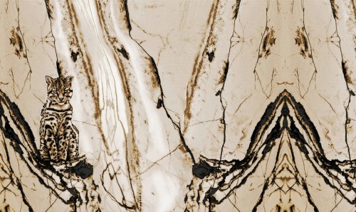 tapeta#4_tekstura_3000x5000.jpg