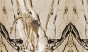 tapeta#5_tekstura_3000x5000.jpg
