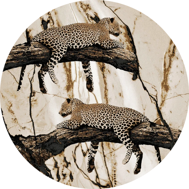 tapeta#6c-koło.png