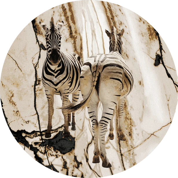tapeta#7-koło.png