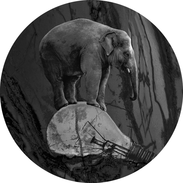 tapeta#10-koło.png