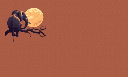 tapeta#20_tekstura_3000x5000.jpg