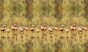 tapeta#41_tekstura_3000x5000.jpg
