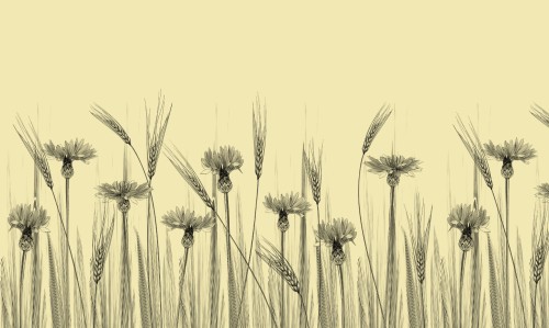tapeta#65_tekstura_3000x5000.jpg
