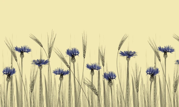 tapeta#66_tekstura_3000x5000.jpg