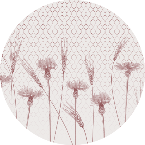 tapeta#67-koło.png
