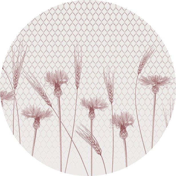 tapeta#67-koło.png