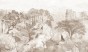 tapeta#51_tekstura_3000x5000.jpg