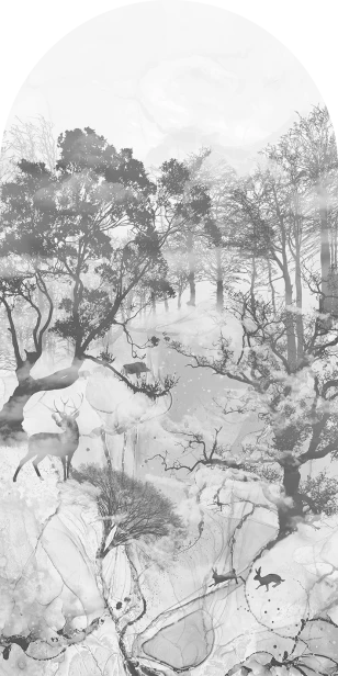 tapeta#52-łuk.png