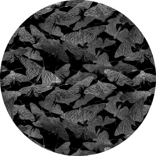 tapeta#16-koło.png