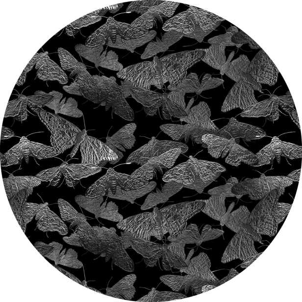 tapeta#16-koło.png