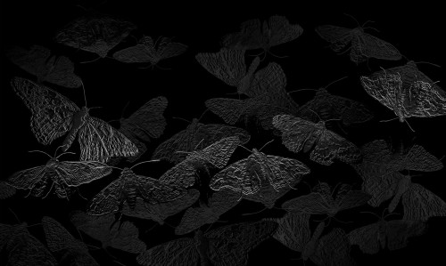 tapeta#15_tekstura_3000x5000.jpg