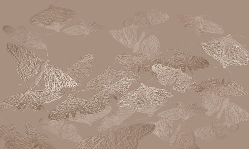 tapeta#13_tekstura_3000x5000.jpg