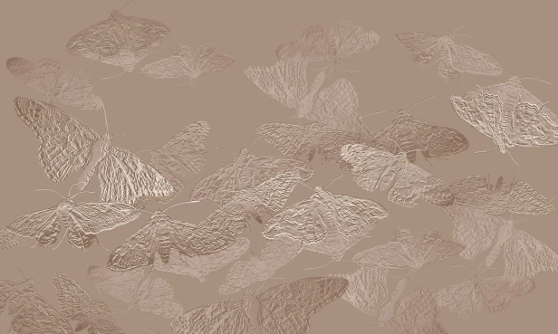 tapeta#13_tekstura_3000x5000.jpg