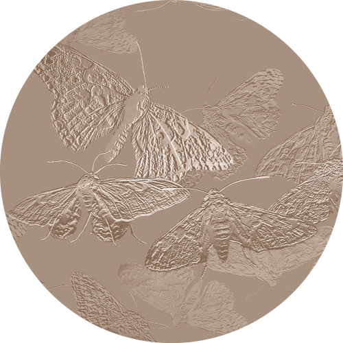 tapeta#13-koło.png