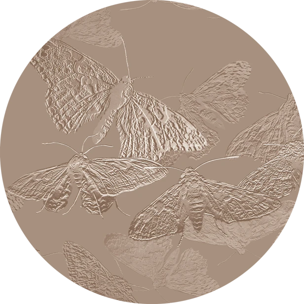 tapeta#13-koło.png