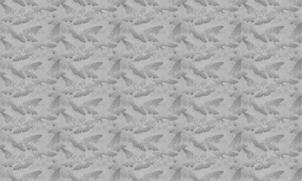tapeta#12_tekstura_3000x1000_powtarzalna.jpg