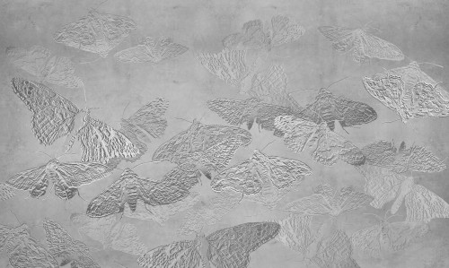 tapeta#11_tekstura_3000x5000.jpg