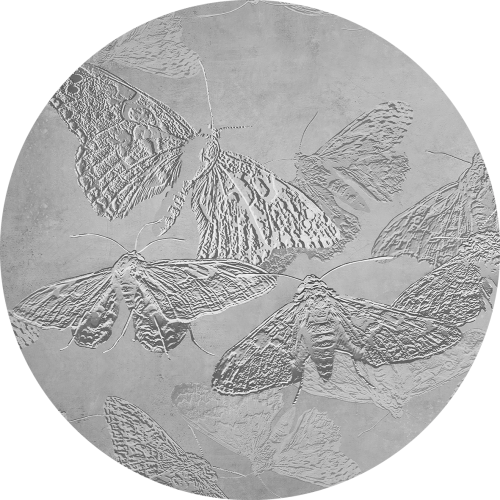 tapeta#11-koło.png