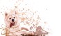 tapeta#77_tekstura_3000x5000.jpg