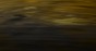 MU13034-LR.jpg
