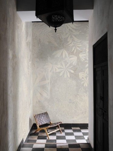 MU13076-Coral Grove.jpg