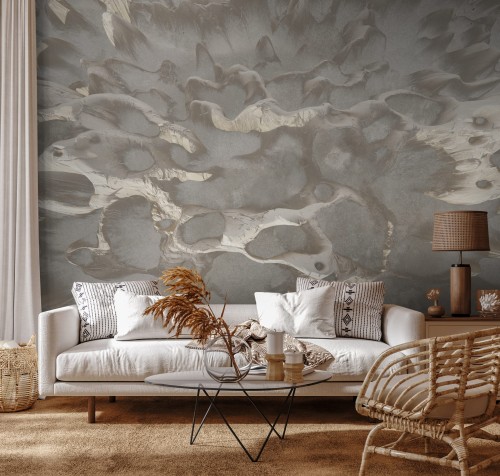 MU13094-Coral on the wall.jpg