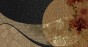 MU14013.jpg
