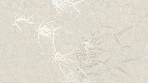 MU15004.jpg