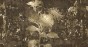 MU15028.jpg
