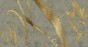 MU15076.jpg