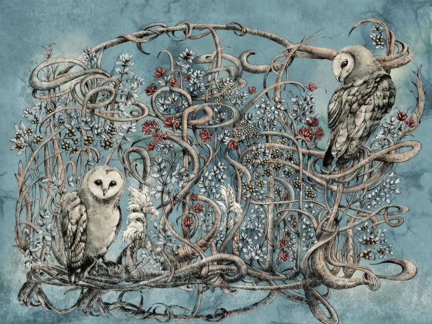 Avera Art. 500 31 2102.jpg