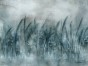 Canna Art. 535 31 2201.jpg