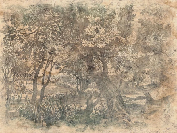 Elav Art.605 31 Papier ciepły brązowo-beżowy z ciemną ryciną i zielenią, najbardziej antyczny i muzealny