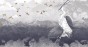 MU11012.jpg