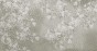 MU11038.jpg
