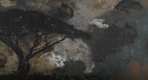 MU11058.jpg