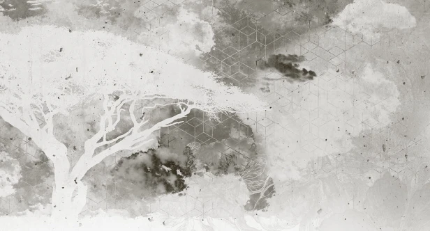 MU11060.jpg