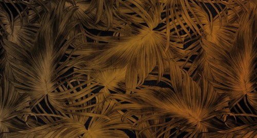 MU11067.jpg