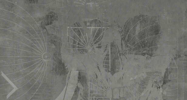 MU11081.jpg