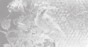 MU11105.jpg