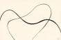 MLM 0525 0011 00.jpg
