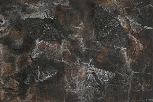 MLM 0525 0019 00.jpg