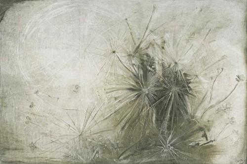 MLM 0525 0027 03.jpg