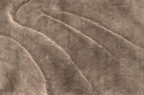 MLM 0525 0033 02.jpg