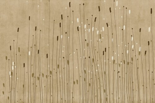 TPA-0125-0120-02 Ciepły miodowy z bielą, słoneczny i naturalny.