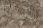 TPA-0125-0132-00 Ciepły beżowo-taupe z brązowymi cieniami, najbardziej klasyczny i przytulny.