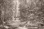 TPA-0125-0135-04 Czarno-biały grafitowy monochrom, najbardziej graficzny i nowoczesny.