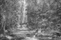 TPA-0125-0135-05 Czarno-biały grafitowy monochrom, najbardziej graficzny i nowoczesny.